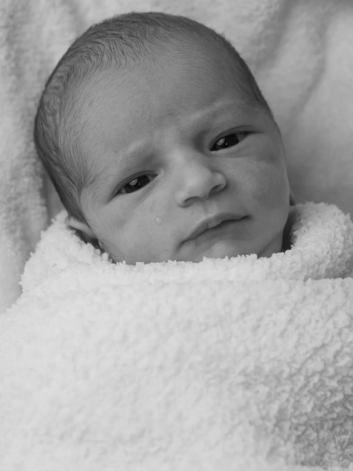 Baby Helena in black and white, alert and looking up
